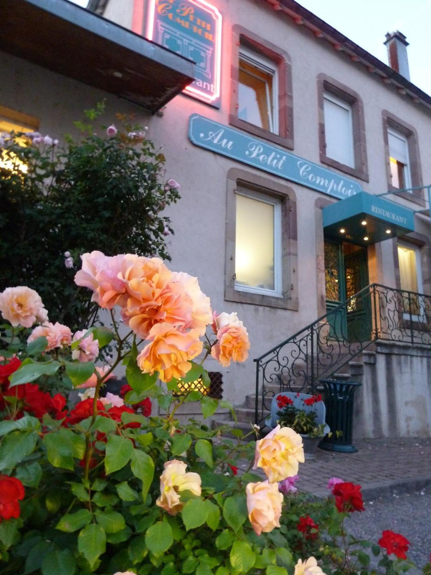 Logis Hotel Les Pages Luneville Exterior photo